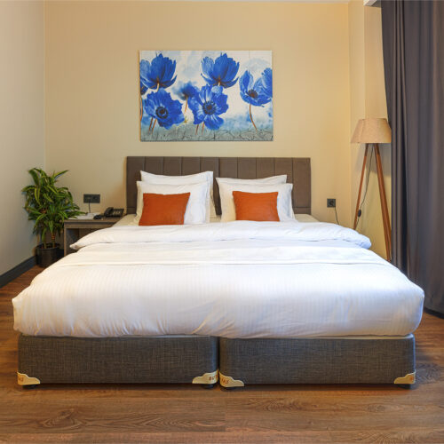 Çift Kişilik (Ayırılabilir Yatak)